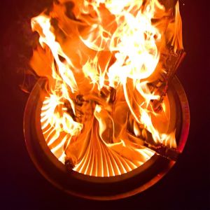 COOZOOM 15'' Portable Smokeless Fire Pit With Stand Stainless Steel Bonfire