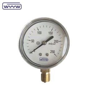 China 63mm stainless steel case bottom mbar kpa bellows pressure gauge on sale