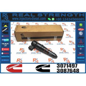 High Quality Common rail injector 3071497 3064457 3071494 for cummins NT855 G4