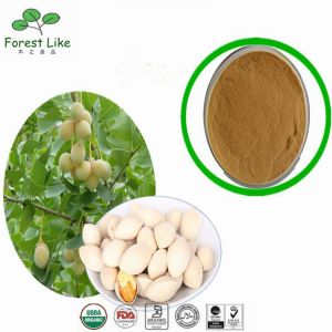 Professional Wholesales Chinese Natural Ginkgo Seed Extract