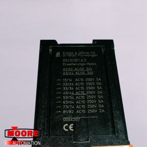 BN3081/BN3081.63 DOLD One Year Warranty PLC Module