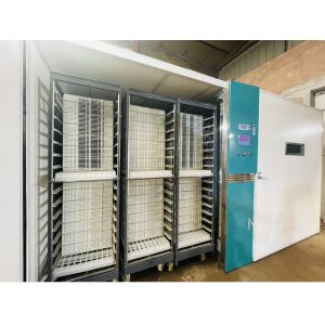 Automatic Large Scale Chicken Egg Hatching Machine Hatching Rate 98%