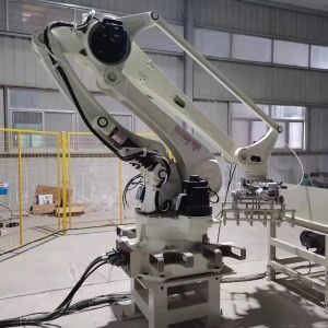 Robotic Arm Palletizer Palletizing Robotic Carton Box Automatic Industrial Robot