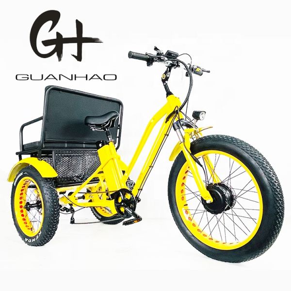 US Fat Tire Electric Passenger Tricycle with 1000W Bafang Motor and Aluminum Pedal