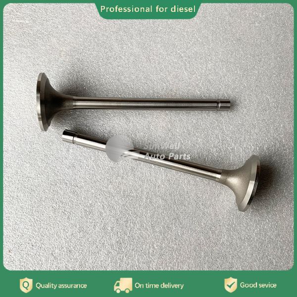Hot sale Diesel Spare Part for Engine Exhaust Valve 3088389 3022602 3034827 3803528