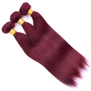 100g 8 -28 Inch 99j Human Hair Bundles