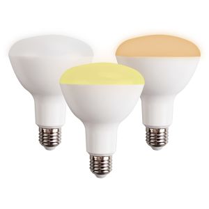 BR30 Sigmesh dimmable bulb