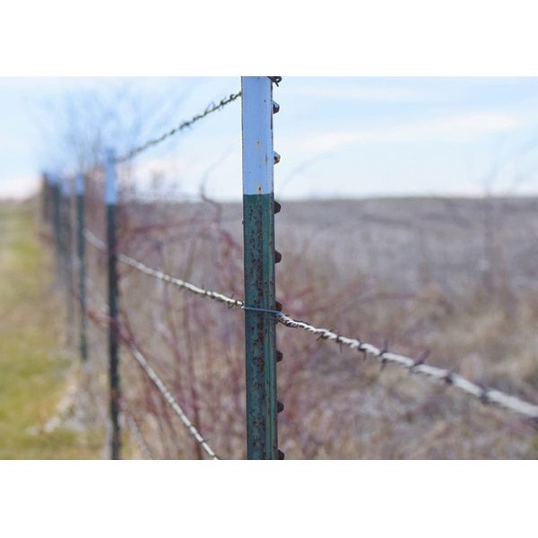 Garden Anti-Theft Double Twisted PVC Coated /Galvanized Barbed Wire Coils