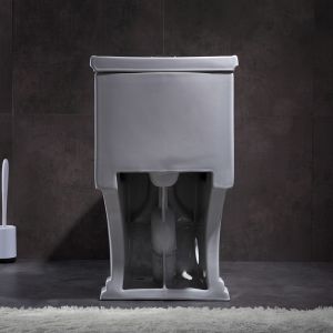 1.28gpf 4.8lpf Dual Flush single piece toilet bidet