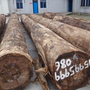 Reconstituted Decorative Engineered White Oak Wood Veneer 28S Straight Grain