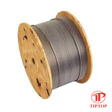 Buy Welding ASTM A789 Super Duplex 2507 Stainless Steel Coils at wholesale prices