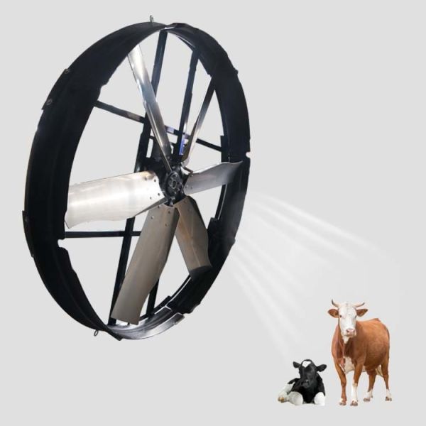 Buy Industrial Panel Fan With High Efficiency 3Φ 380V 50Hz Power Supply And 60m3/h Outstanding Air Volume at wholesale prices