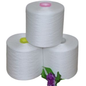 20/2, 30/2, 40/2 Factory Price 100% Polyester Ring Spun Yarn Industrial