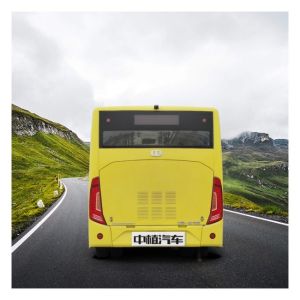 Leaf Spring Suspension Electric Mini Buses with 215/75R17.5 Tyre LHD RHD