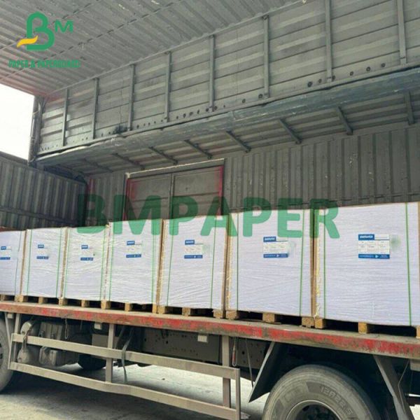53gsm - 400gsm Uncoated Freesheet Woodfree Paper Book Cardboard 78 X 102cm 72 X 105cm 77 X 110cm Large Size