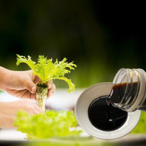 Compound Amino Acid Chelated Calcium Magnesium Liquid Fertilizer Organic Foliar