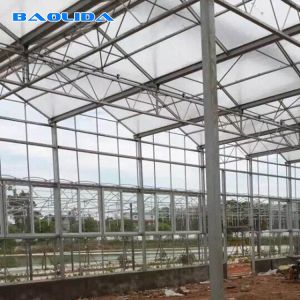 Multi Span Tunnel 8mm Polycarbonate Sheet Greenhouse For Gardening