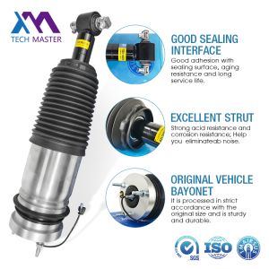 84844792 85521597 84844793 New Front Car Shock Absorber Cadillac Escalade