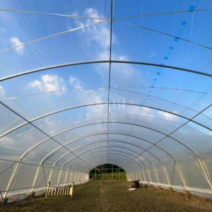 6x15m Multipurpose Tunnel Greenhouse With Superior Light Transmission
