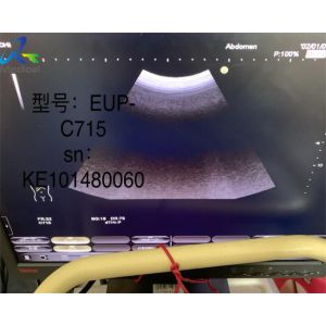 EUP-C715 Abdominal Ultrasound Probe Imaging Diagnosis Equipment Care Supplies