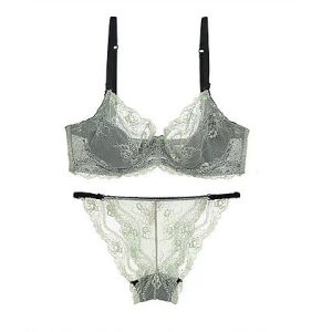 New Sheer Lace Bra Set