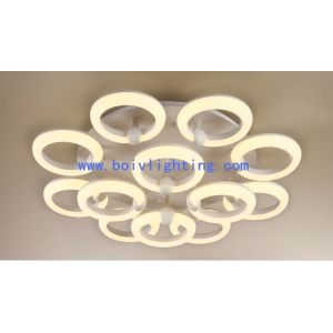 36W Indoor Decprative Iron Modern Ceiling Light LED Lamps
