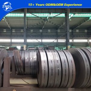 Q235B Steel Strip for S235 S355j2 Carbon Steel Customized and Exceptional