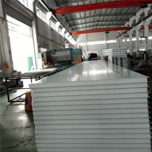 1150-50-426 eps sandwich panel with protective film and density 8kg for prefab