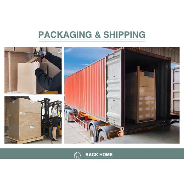 Folding Cardboard Toy Packaging Box , Children Doll Shipping Boxes With PVC Window