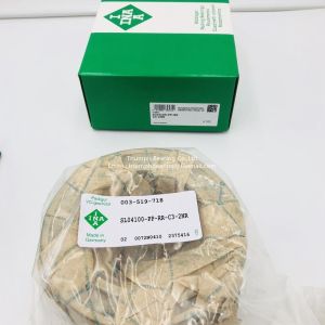 China Cylindrical Roller  Bearings  INA  SL04100-PP-RR-C3-2NR on sale
