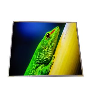 Quality Industry G190EAN01.5 1280*1024 86PPI LCD Screen for sale