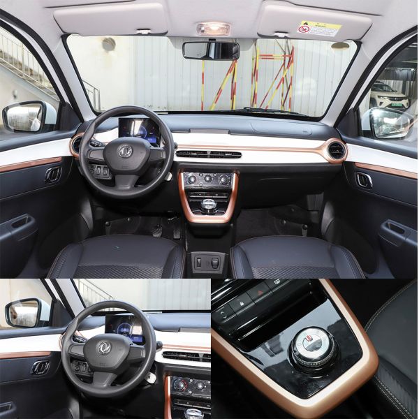 Discover the Perfect Combination of Style and Performance with Dolphin Electric Vehicles' 500cc Mini Car Araba Electrique Adulte