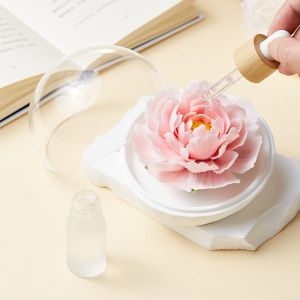 Ready To Ship In Stock Ceramic Candle Holders Fragrance Essential Oil In Custom