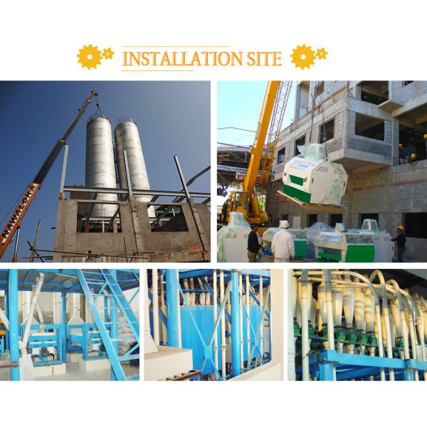 Multifunction Grain Cleaning Equipment / Vibrating Screen Machine TQLZ100x150