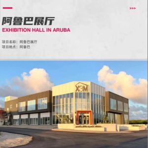 Modern Steel Hall Construction Customized Waterproof Steel Structure Building