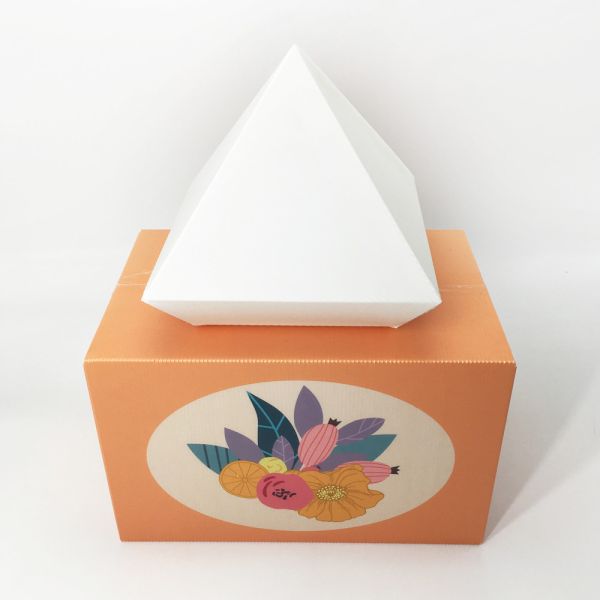 Buy Anti - Collision Friction Resistance Corrugated Plastic Carton 1200gsm at wholesale prices