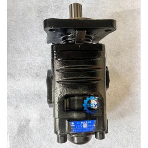 150107010038B Hydraulic Pump Assy 150107010039B Gear Pump for SW955 Sany Wheel