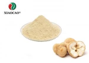 Quality Organic Hericium Mushroom Powder , Plant Hericium Erinaceus Powder for sale