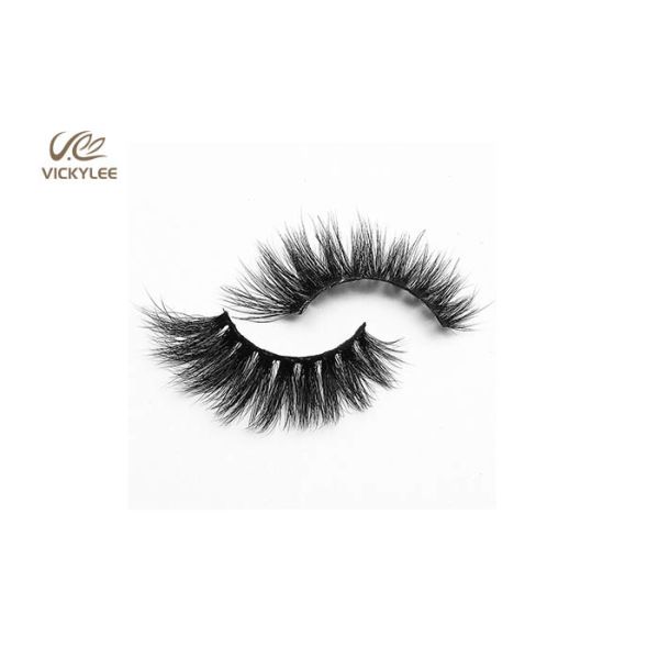Human Hair Fan Shaped 34MM Natural Multipack Eyelashes