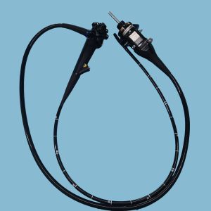 GIF-H290 High Definition Medical Endoscope Video Gastroscopy HDTV Image