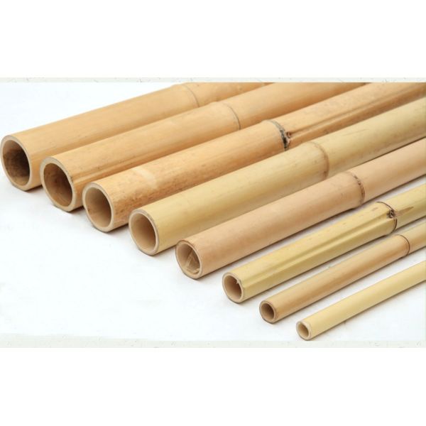 Buy 100% Natural Bamboo Pole Customize Length Eco-Friendly Plant Support Garden Stakes Strong Durable Lightweight at wholesale prices