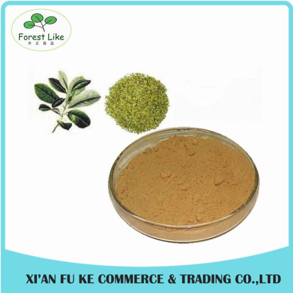 Buy Best Selling Natural Yerba Mate Extract Polyphenol Tannin acid at wholesale prices