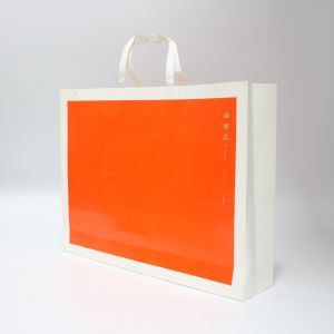 Printing Customized Custom Printed Clothes and Shoes Paper Bags with Customized