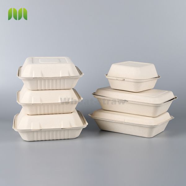 Sugarcane Pulp Dinnerware Sets 100% Biodegradable Disposable Food Packaging
