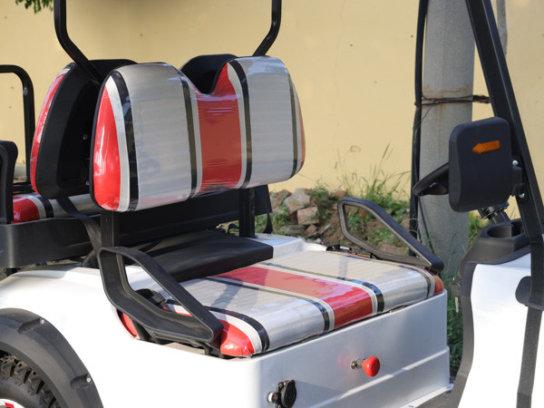Customized Golf Carts Lead Acid Battery Operated Off Road Street Legal Electric