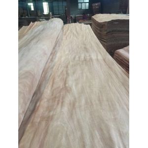 sell Dillenia face veneer