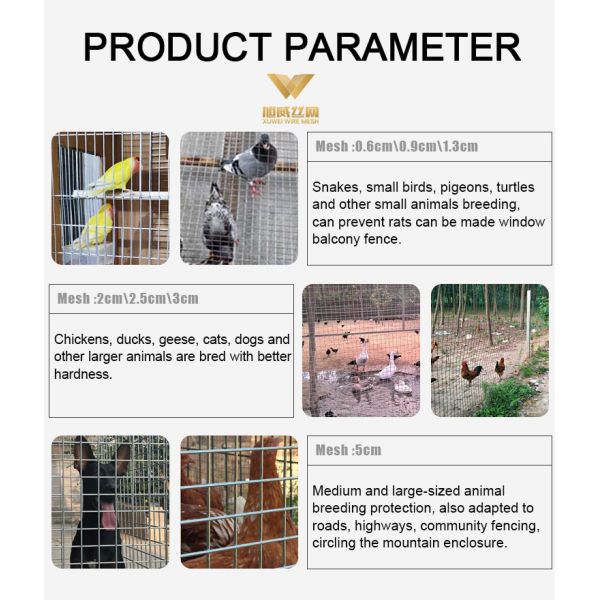 Hot Dipped Galvanized High Zinc Coated 1 4 Welded Wire Mesh Farm Heat Resistance Corrosion Protection Metal Fence Roll