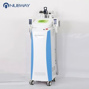 five handles cryolipolysis RF cavitation freezing fat criolipolisis slimming