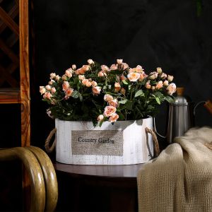 Rectangular Round Succulent Flower Pot White Wooden Nostalgic Retro Style