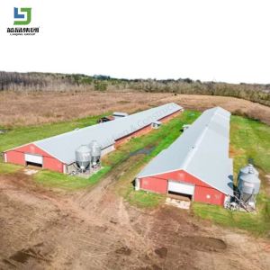 Cheap Agricultural Steel Structure Prefabricated Poultry Chicken Broiler Layer